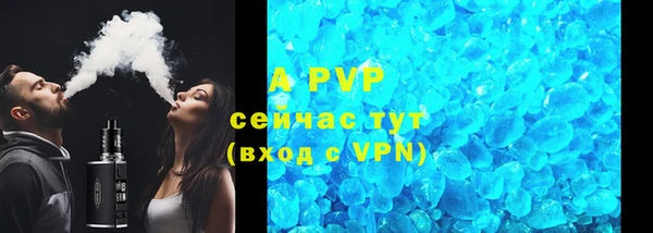 шишки Беломорск