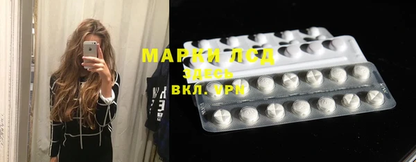 шишки Беломорск