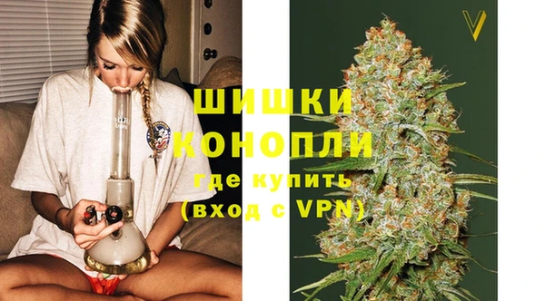 шишки Беломорск