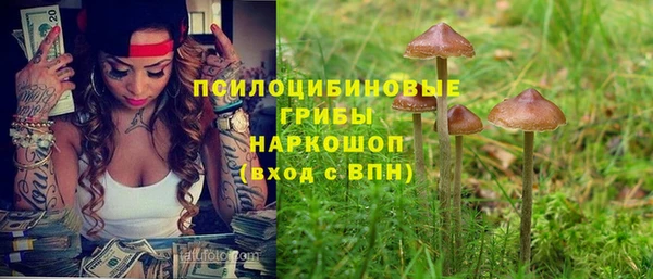 шишки Беломорск