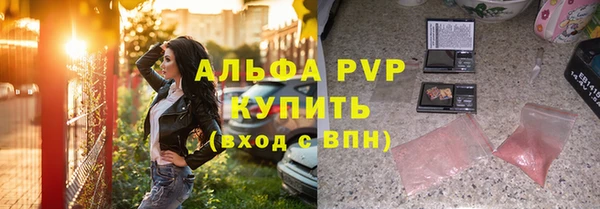 шишки Беломорск
