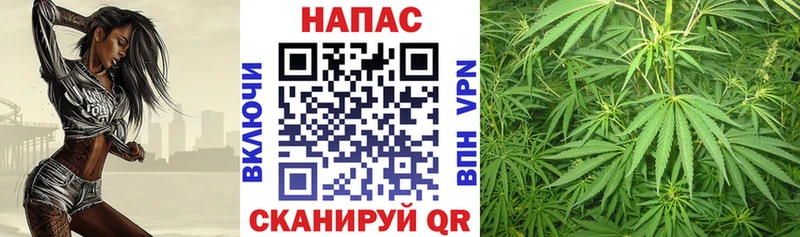хочу наркоту  Пыть-Ях  Шишки марихуана план 